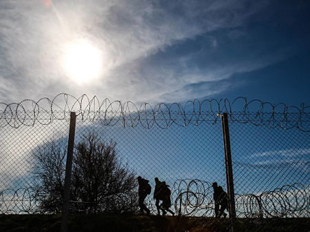 barbed wire migrants