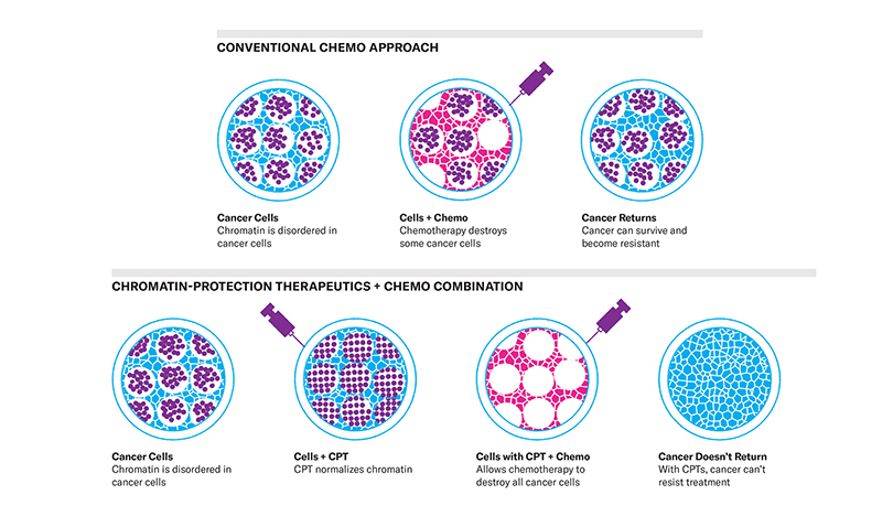 chromatin chemo illustration