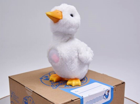 duck on box