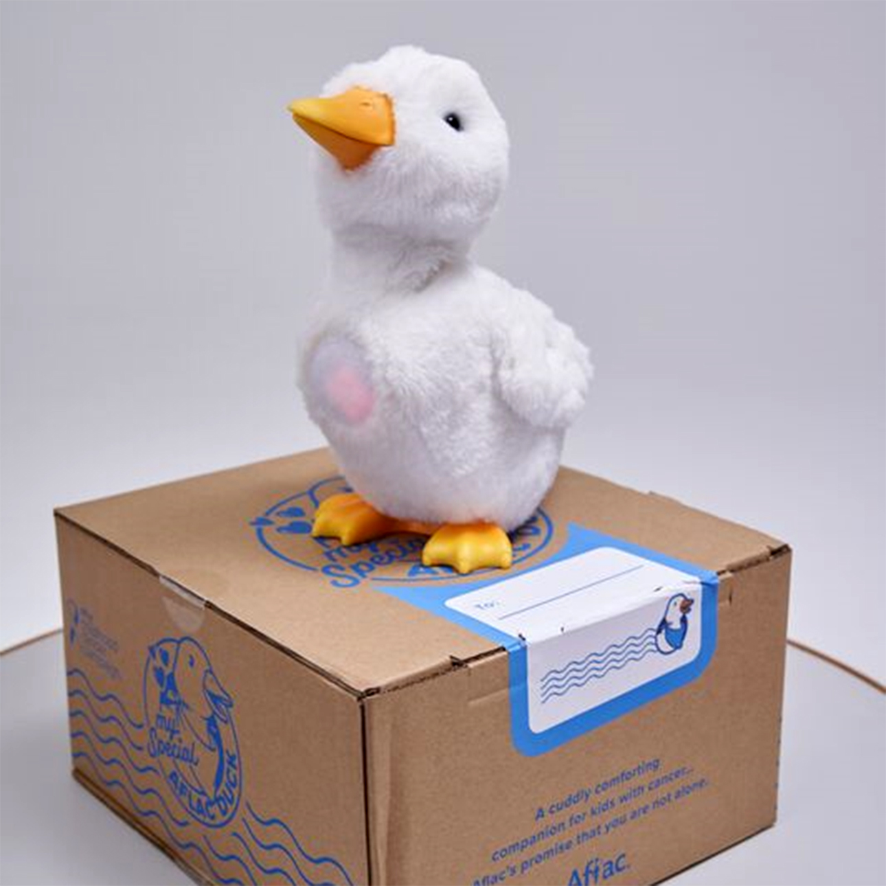 duck on box
