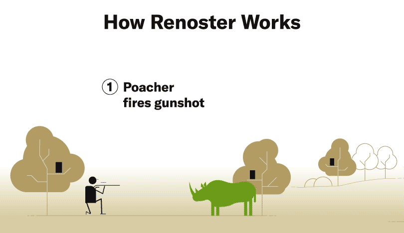 How Renoster Works