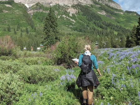 Mountain Plants anchor