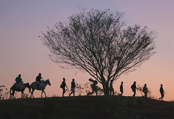 A group of people in silhouette walk past a tree at sunset, followed by two people on horses.