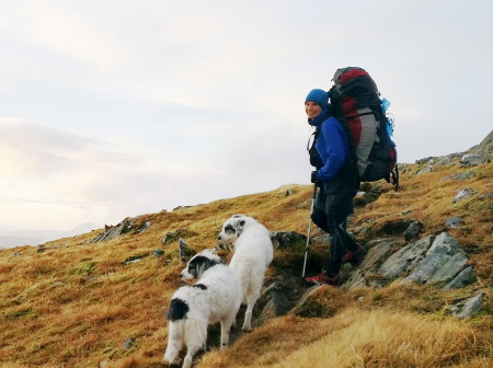 Jamie Aarons hiking with dogs