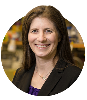 A headshot of Danielle Tullman-Ercek in a lab wearing a black jacket and purple top 