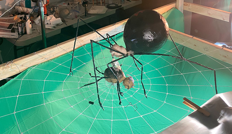 The finished spiderweb is shown against a greenscreen. A spider is seen in the center of the web, hovering over Jeff the Fly. A camera rig towers above the web to shoot the action.
