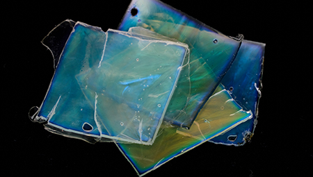 Four film squares whose colors include yellow, green, blue and purple. 
