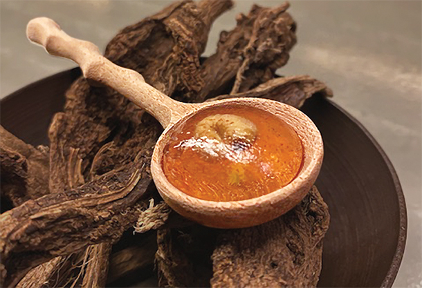 Balancing on a wooden plate is a wooden serving spoon that holds a grub encased in an amber-colored jelly.