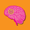 Illustration of a brain