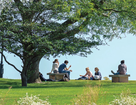 A group of students sit on a grassy hill under a tree.