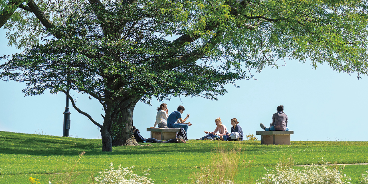 A group of students sit on a grassy hill under a tree.