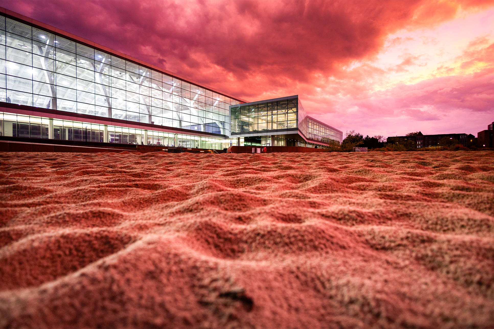 Reddish sand and a pink sky surround Ryan Fieldhouse.
