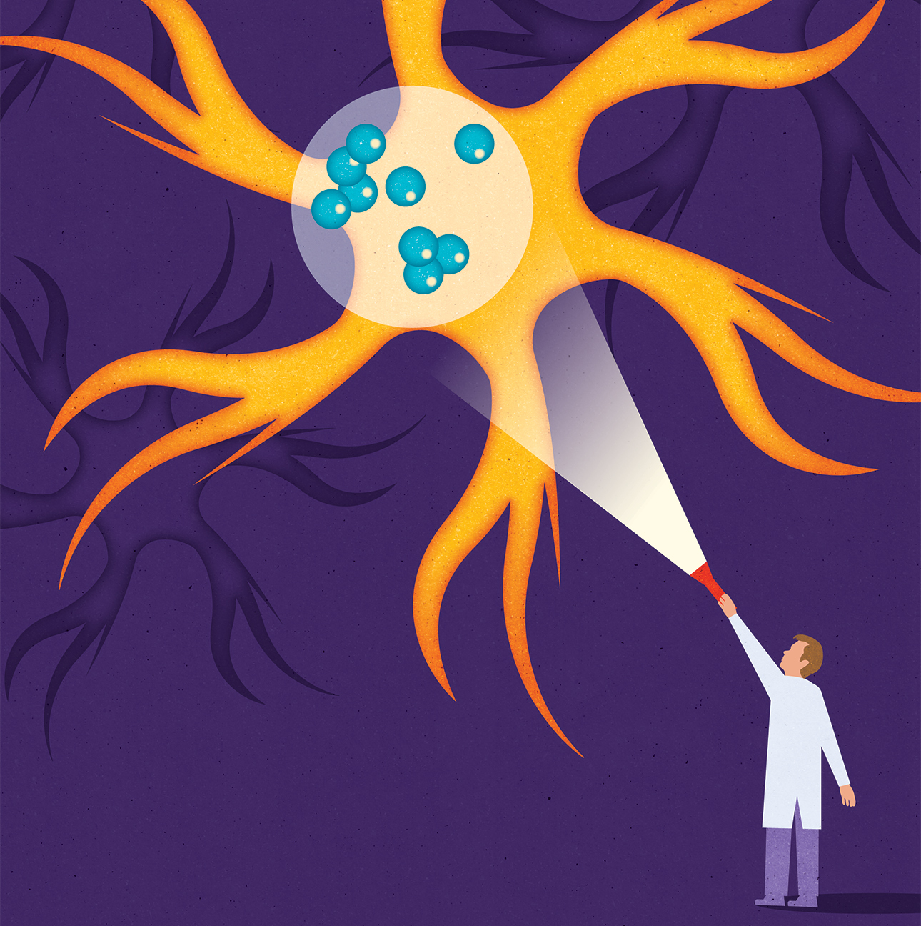 Illustration of a researcher shining a flashlight on oligomers attached to an astrocyte.