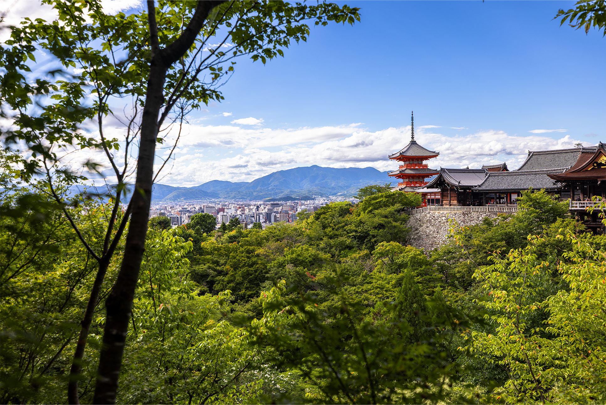 Green trees fill the foreground with a Japanese temple in the background and the city of Kyoto and its mountains further in the distance.