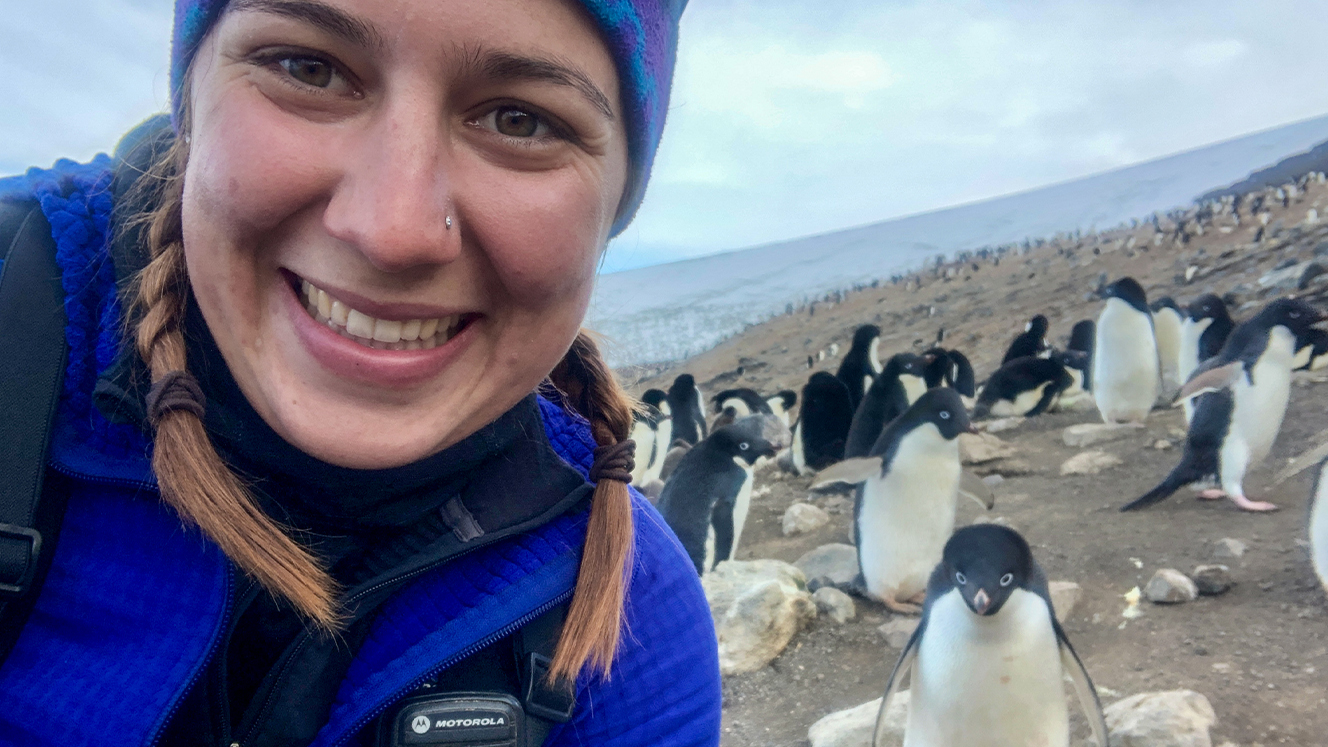 levinson ss Penguin Selfie