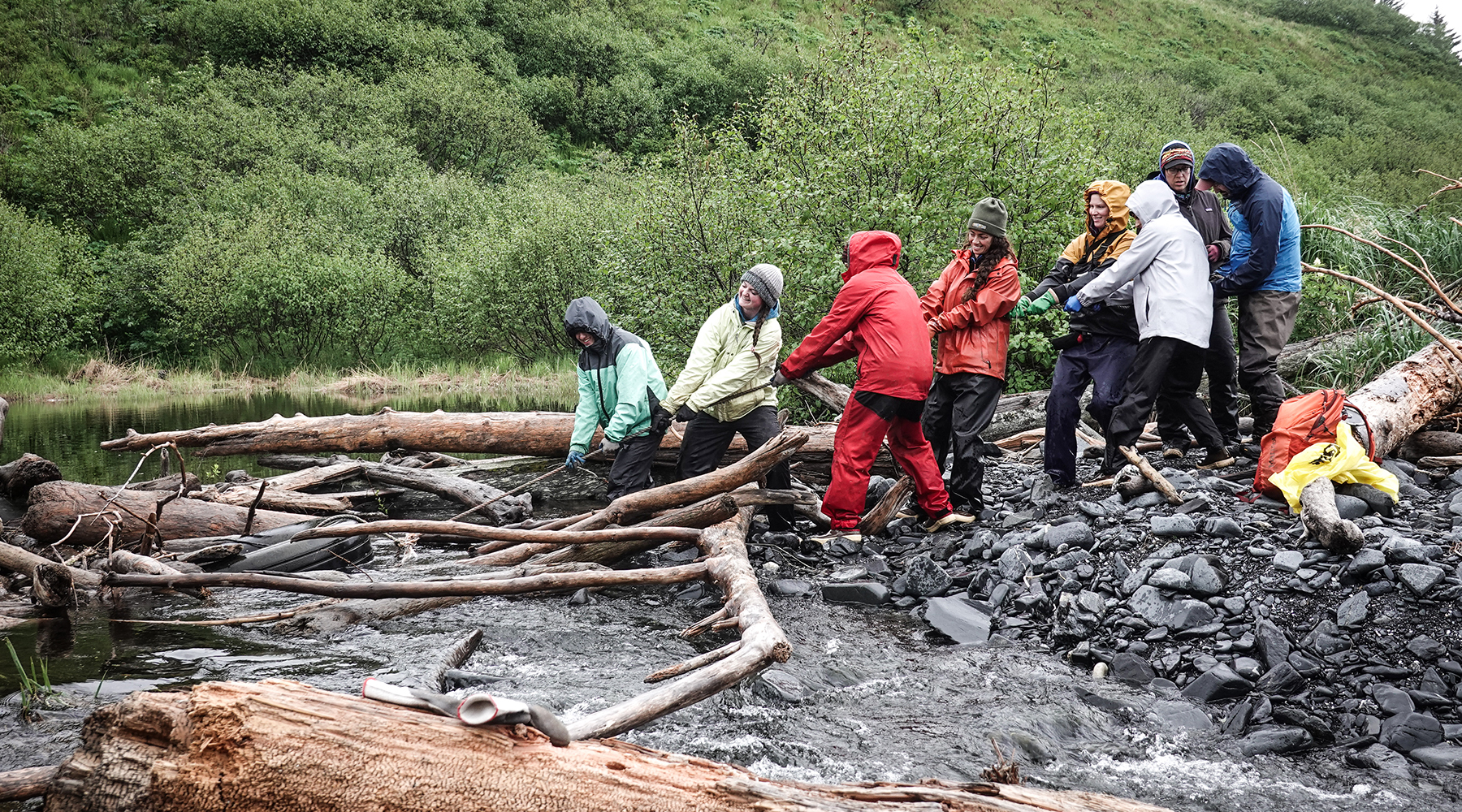 A crew of eight people works to dislodge a tire from the shoreline on a remote beach on Alaska's Kodiak Island. They are pulling on a thick rope. The tire is partially submerged and tangled in fallen branches. The people are wearing coats and rain gear.